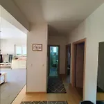 Lala * Promajna